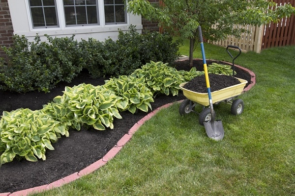 Featured image for Low-Maintenance Landscaping