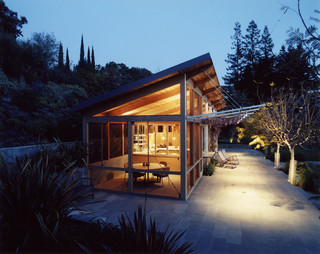 Featured image for The Shed Roof