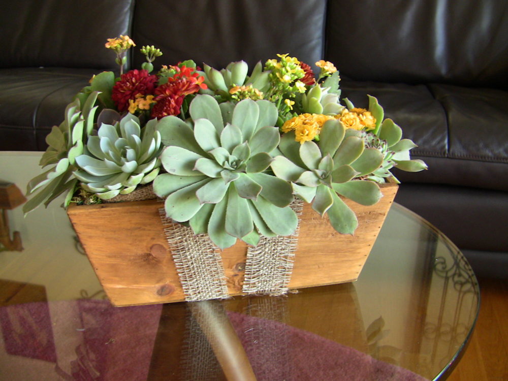 Featured image for Top 5 Ways to Decorate Your Coffee Table!