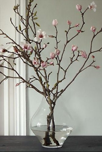Tulip magnolia branches in vase