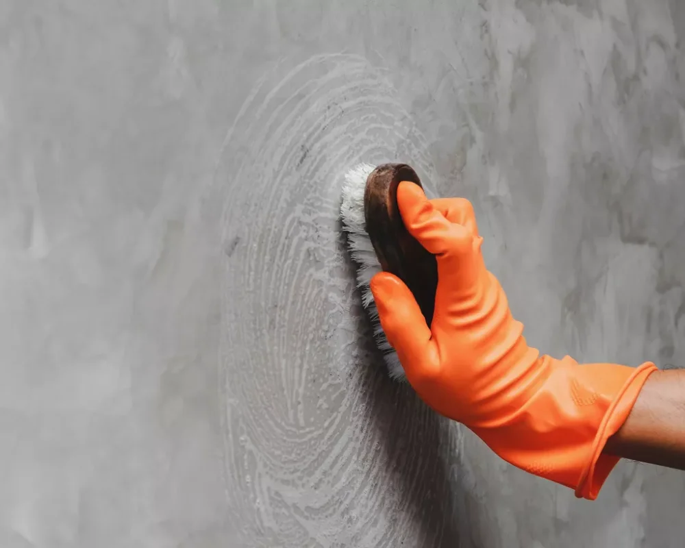 Featured image for How to clean walls before painting – expert tips and tricks