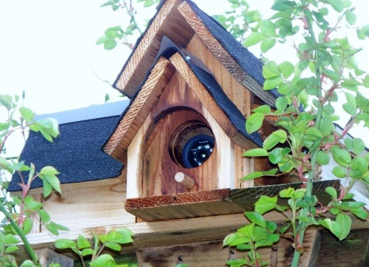 Featured image for 13 ways to camouflage outdoor hidden security cameras