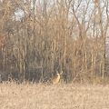 Slider image thumbail number 15