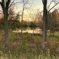 Slider image thumbail number 3