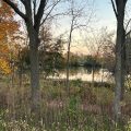 Slider image thumbail number 4