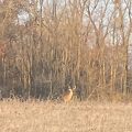 Slider image thumbail number 13