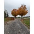 Slider image thumbail number 9