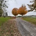 Slider image thumbail number 23
