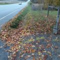 Slider image thumbail number 29