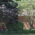 Slider image thumbail number 1