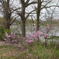 Slider image thumbail number 23