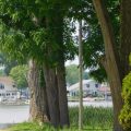 Slider image thumbail number 6