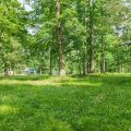 Slider image thumbail number 11