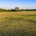 Slider image thumbail number 11