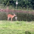 Slider image thumbail number 22