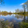 Slider image thumbail number 41