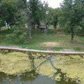 Slider image thumbail number 7