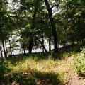 Slider image thumbail number 11