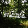 Slider image thumbail number 20