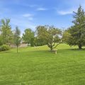 Slider image thumbail number 46