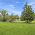 Slider image thumbail number 47