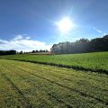 Slider image thumbail number 24